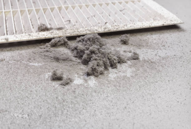 Best Ductwork Cleaning Services  in Onarga, IL