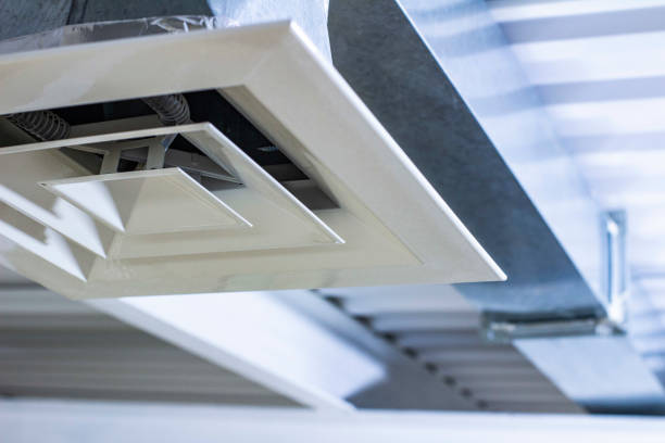 Best Air Vent Cleaning Services  in Onarga, IL