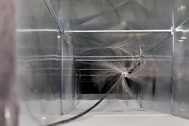 Best Air Duct Mold Removal  in Onarga, IL